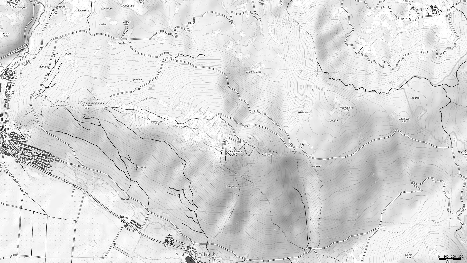 Cerknica grayscale map